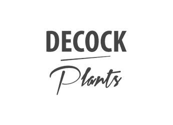 Decock Plants